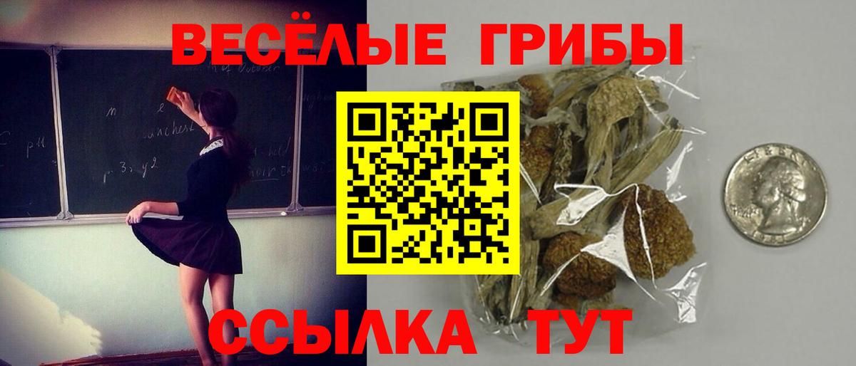 Галлюциногенные грибы мухоморы Сызрань