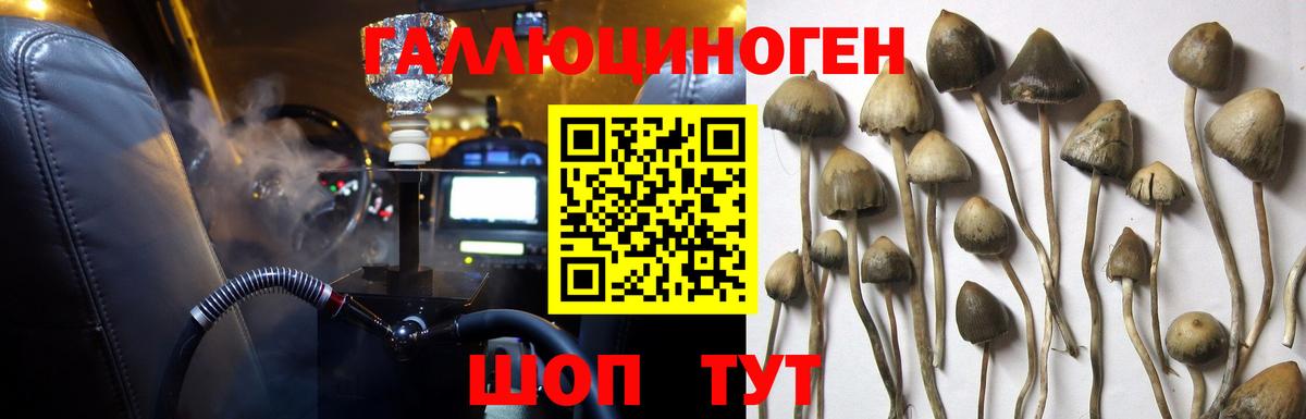 Сызрань  Галлюциногенные грибы Psilocybe  Вход с VPN 